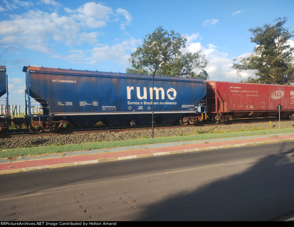 RUMO HTT-065650-0